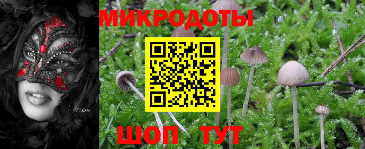 Псилоцибиновые грибы мухоморы  Вход с VPN  Магадан 